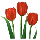 Parkinson's Association of Southwest Florida, Inc.